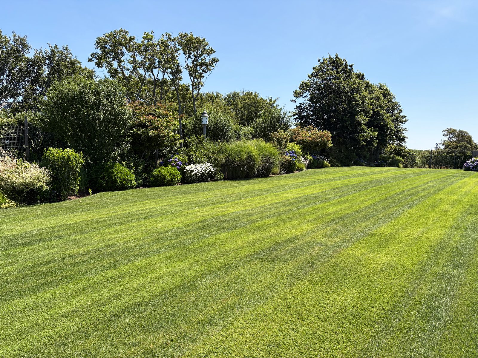 Lawn Care & Maintenance on Nantucket